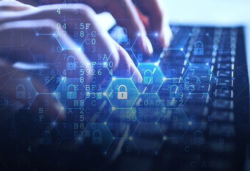 東信和平 傳統業務挑戰中破局，外銷毛利率提升與信息安全雙輪驅動盈利能力改善